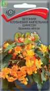 Бегония Шансон оранжево-желтая, 10шт., Поиск