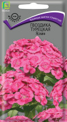 Гвоздика турецкая Ясмин, 0.3гр., Поиск