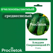 Огурец Аладдин Скерневицкий F1 0,5г,  Процветок