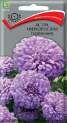 Астра Голубой ковер, 0,2гр., Поиск
