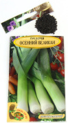 Лук порей Осенний великан, 1гр., СдВ