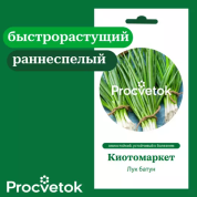 Лук батун Киотомаркет 0,5г, Процветок