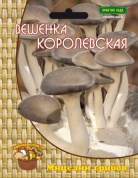 Вешенка королевская, 12шт., Поиск
