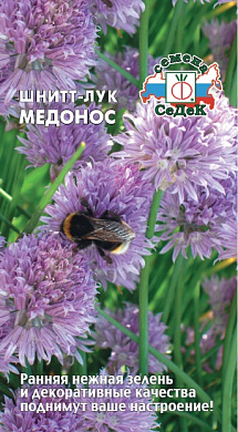 Лук шнитт Медонос, 0.5 гр., СеДеК