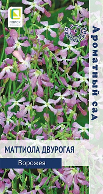 Маттиола Ворожея, 0,3гр., Поиск