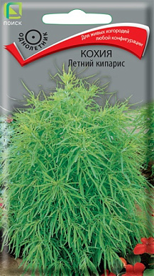 Кохия Летний кипарис, 0.2гр., Поиск