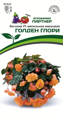 Бегония Голден Глори F1, 5шт., Партнер