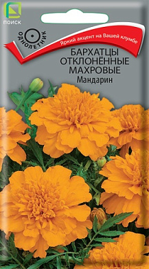 Бархатцы Мандарин, 0.4гр., Поиск