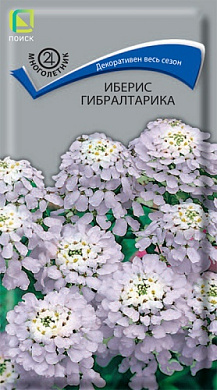 Иберис Гибралтарика, 0,1гр., Поиск