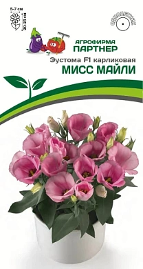 Эустома Мисс Маили F1, 5шт., Партнер