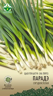 Лук батун Параде, 100шт., МССО