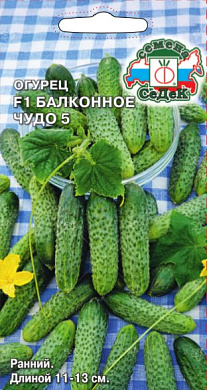 Огурец Балконное Чудо 5  F1, 0,2гр., СеДеК