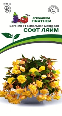 Бегония Софт лайм F1, 5шт., Партнер
