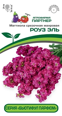 Маттиола Роуз эль парфюм, 10шт., Партнер