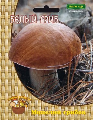 Белый гриб(мицелий), 60мл., Поиск