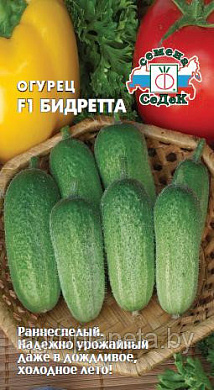 Огурец Бидретта F1, 0,3гр., СеДеК