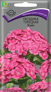 Гвоздика турецкая Ясмин, 0.3гр., Поиск