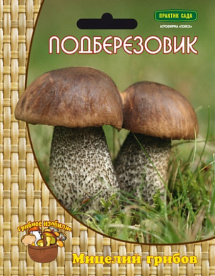 Подберезовик (мицелий), 60мл., Поиск