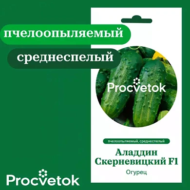 Огурец Аладдин Скерневицкий F1 0,5г,  Процветок