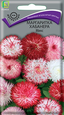 Маргаритка Хабанера 10шт., Поиск