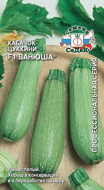 Кабачок Ванюша F1, 2гр., СеДеК
