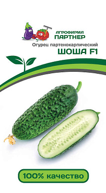 Огурец Шоша F1, 5шт., Партнер