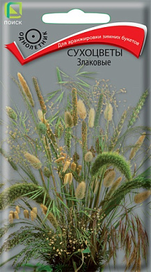 Сухоцветы Злаковые, 0,3гр., Поиск
