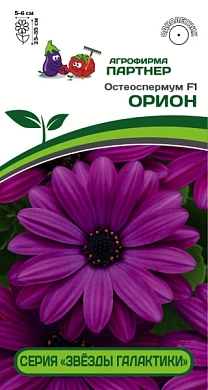 Остеоспермум Орион F1, 3шт., Партнер
