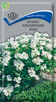 Арабис альпийский белый 0,1гр., Поиск