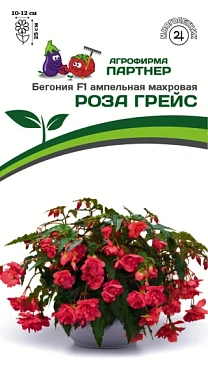 Бегония Роза Грэйс F1, 5шт., Партнер