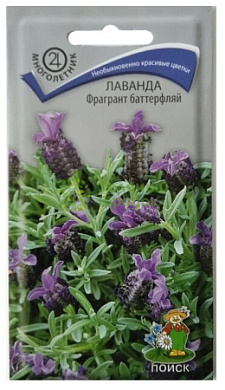 Лаванда Фрогрант Баттерфляй, 20шт., Поиск