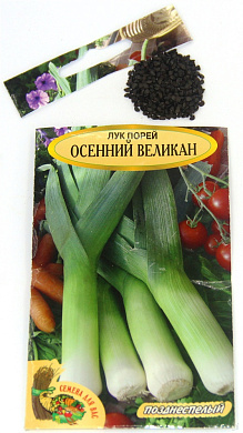 Лук порей Осенний великан, 1гр., СдВ