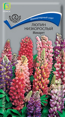 Люпин Минарет, 1гр., Поиск