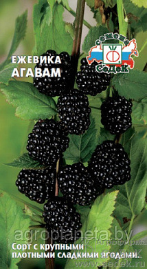 Ежевика Агавам,  0,05 гр., СеДеК