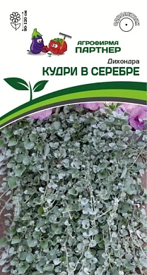 Дихондра Кудри в серебре, 4шт., Партнер